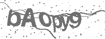 CAPTCHA Image