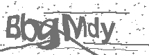 CAPTCHA Image
