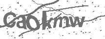 CAPTCHA Image
