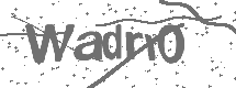 CAPTCHA Image