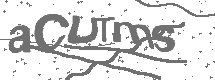 CAPTCHA Image