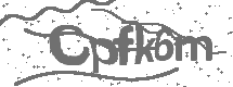 CAPTCHA Image