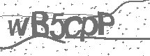 CAPTCHA Image