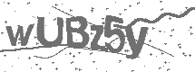 CAPTCHA Image
