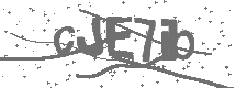 CAPTCHA Image