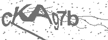 CAPTCHA Image