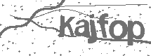 CAPTCHA Image