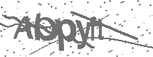 CAPTCHA Image
