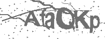 CAPTCHA Image