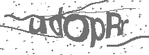 CAPTCHA Image