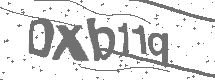 CAPTCHA Image