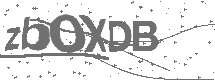 CAPTCHA Image