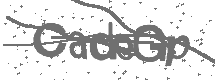 CAPTCHA Image