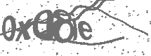 CAPTCHA Image