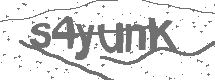 CAPTCHA Image