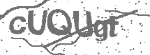 CAPTCHA Image