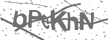 CAPTCHA Image