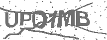 CAPTCHA Image