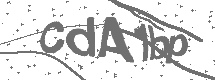 CAPTCHA Image