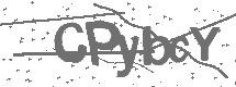 CAPTCHA Image