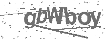 CAPTCHA Image