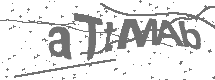 CAPTCHA Image