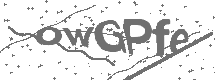 CAPTCHA Image