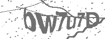 CAPTCHA Image