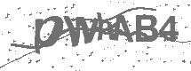 CAPTCHA Image
