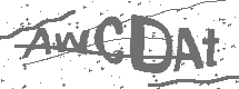 CAPTCHA Image