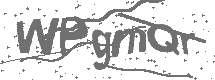 CAPTCHA Image