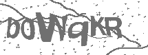 CAPTCHA Image