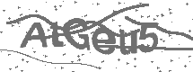 CAPTCHA Image