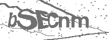 CAPTCHA Image