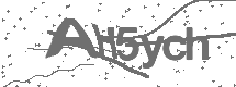 CAPTCHA Image