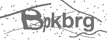 CAPTCHA Image