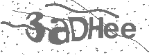 CAPTCHA Image
