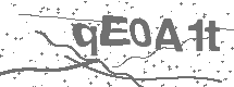 CAPTCHA Image