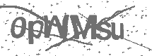 CAPTCHA Image