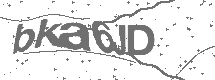 CAPTCHA Image