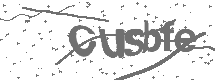 CAPTCHA Image