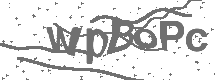 CAPTCHA Image
