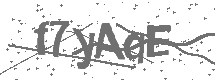 CAPTCHA Image