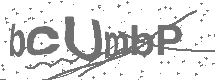 CAPTCHA Image