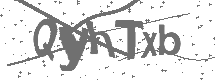 CAPTCHA Image