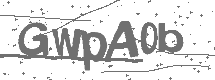 CAPTCHA Image