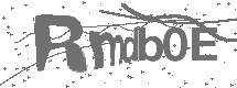 CAPTCHA Image