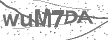 CAPTCHA Image