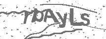 CAPTCHA Image