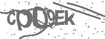 CAPTCHA Image